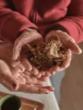 Dried Traditional Chinese herbs for natural healing and wellness.